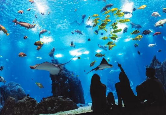 Oceanário de Lisboa