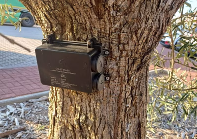 Sensor de inclinação instalado numa árvore para monitorização estrutural